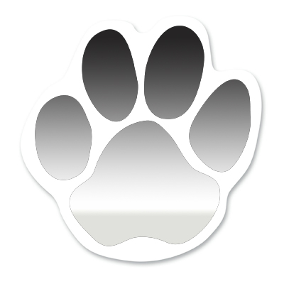 Custom Shape Magnet