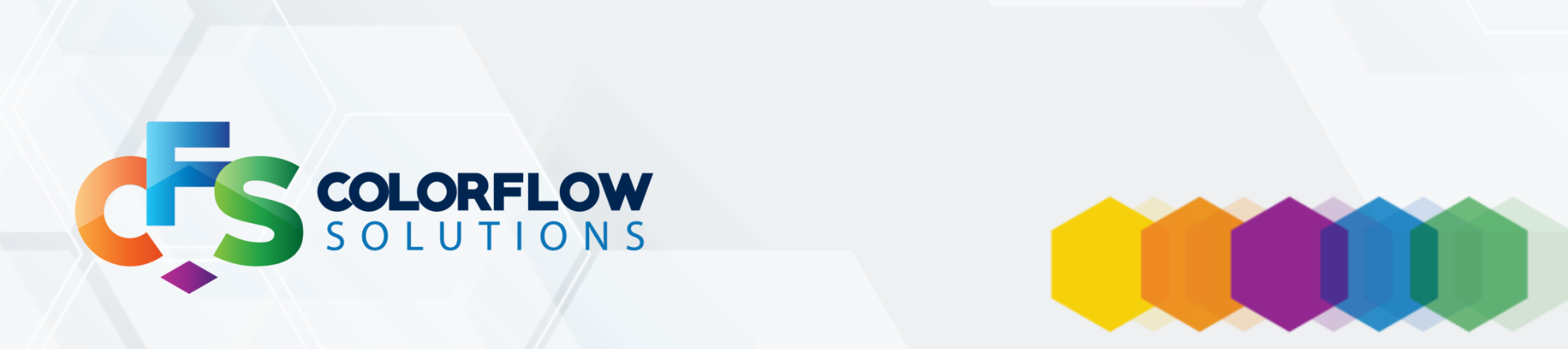 CFS Demo Store banner