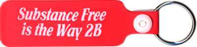 Vinyl Key Chain Substance Free