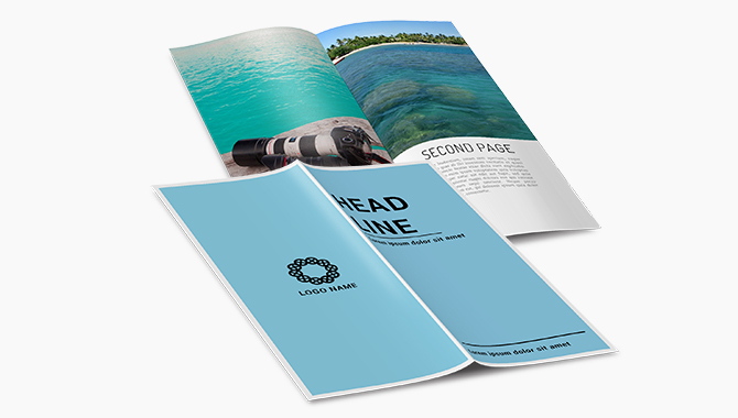 🌟Brochures & Catalogs