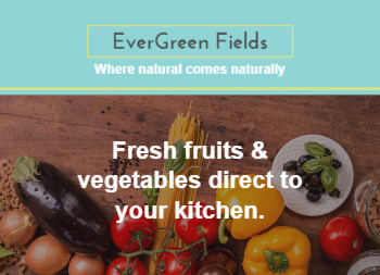 Blossom Season Front