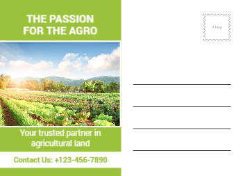 Radiant Ritual Zur&uuml;ck