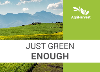 Radiant Ritual Front