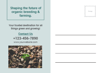 Golden Getup Zur&uuml;ck