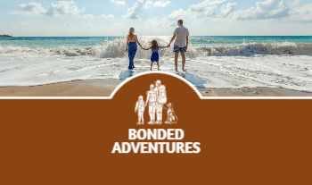 Jetset Journeys Back