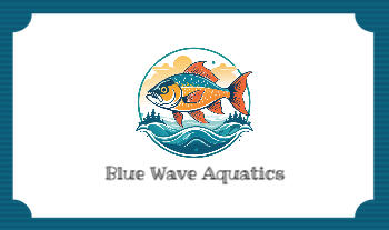 Blossom Wonders Back