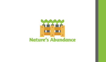 Colorful Flowers Back