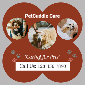 Pet Care