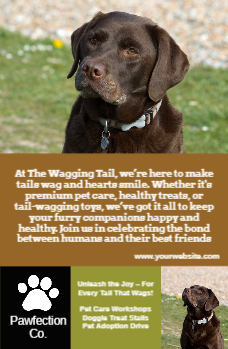 Premier Presentation