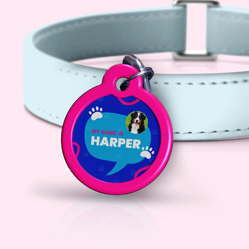 Pet Tags 2