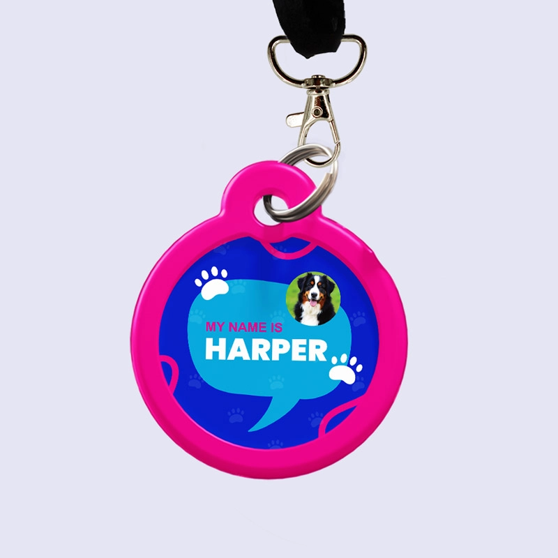 Pet Tags 3