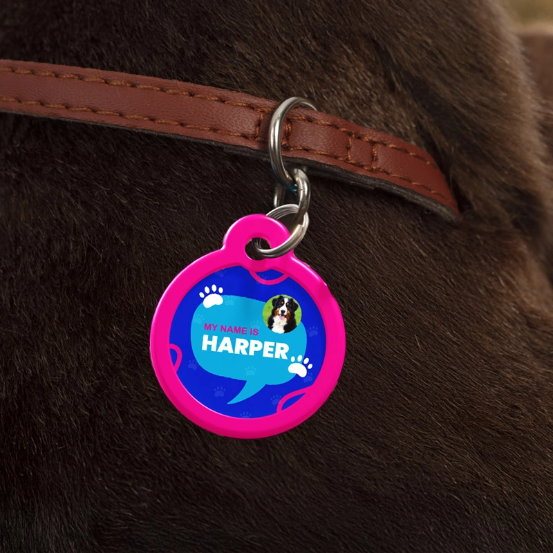 Pet Tags 4