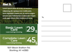 Lawn Luminescence Back