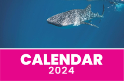 Corporate Calendar