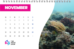 Corporate Calendar