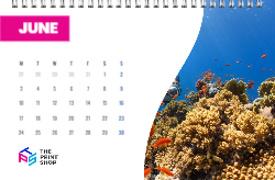 Corporate Calendar