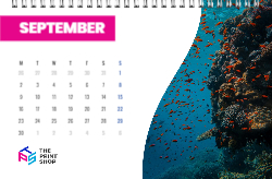 Corporate Calendar